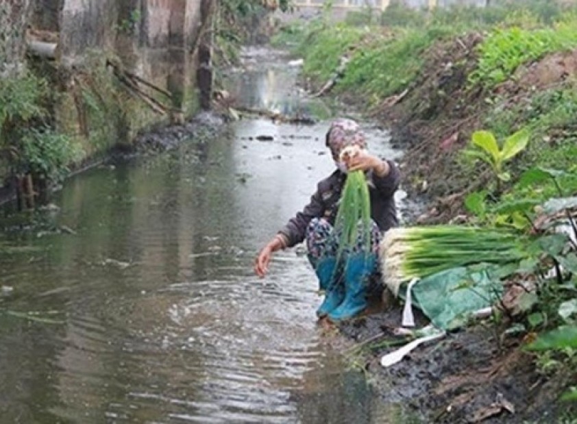Hiểm họa khôn lường cho sức khỏe khi sử dụng hệ thống lọc RO kém chất lượng
